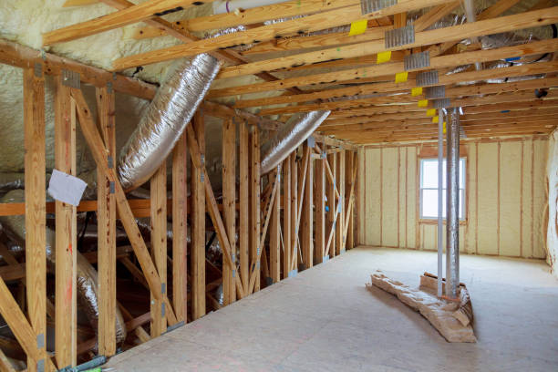 Best Attic Insulation Installation  in Sioux Center, IA