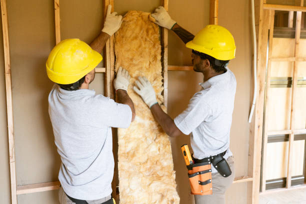 Best Insulation Replacement Services  in Sioux Center, IA