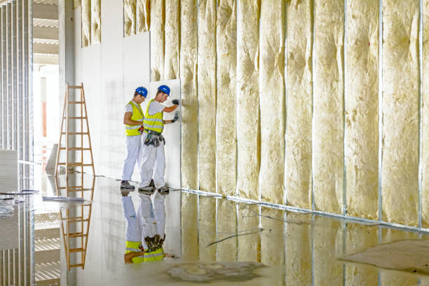Best Insulation Inspection Services  in Sioux Center, IA